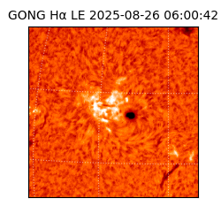 gong - 2025-08-26T06:00:42