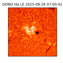 gong - 2025-08-26T07:00:42