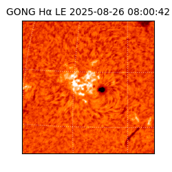 gong - 2025-08-26T08:00:42