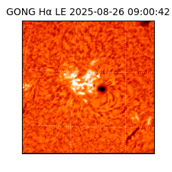 gong - 2025-08-26T09:00:42