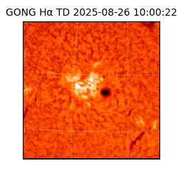 gong - 2025-08-26T10:00:22