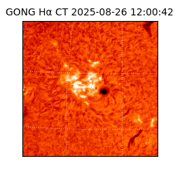 gong - 2025-08-26T12:00:42