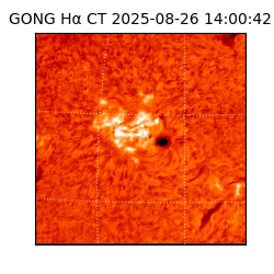 gong - 2025-08-26T14:00:42