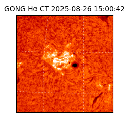 gong - 2025-08-26T15:00:42