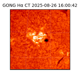 gong - 2025-08-26T16:00:42