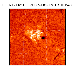 gong - 2025-08-26T17:00:42