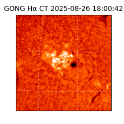 gong - 2025-08-26T18:00:42