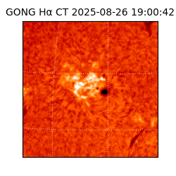 gong - 2025-08-26T19:00:42