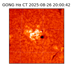 gong - 2025-08-26T20:00:42