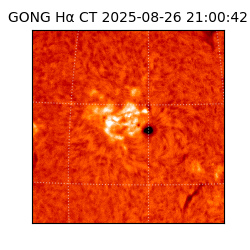 gong - 2025-08-26T21:00:42