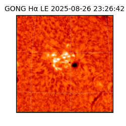 gong - 2025-08-26T23:26:42