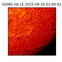 gong - 2025-08-26T03:00:42