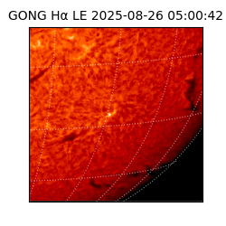 gong - 2025-08-26T05:00:42