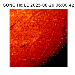 gong - 2025-08-26T06:00:42