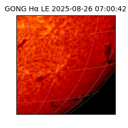 gong - 2025-08-26T07:00:42