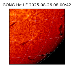 gong - 2025-08-26T08:00:42