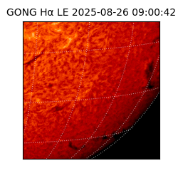 gong - 2025-08-26T09:00:42