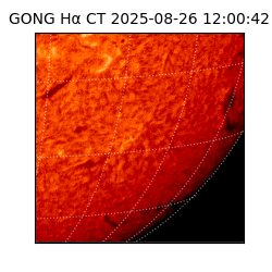 gong - 2025-08-26T12:00:42