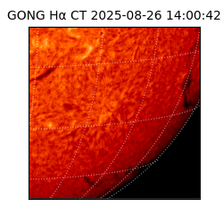gong - 2025-08-26T14:00:42