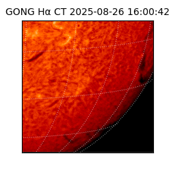 gong - 2025-08-26T16:00:42