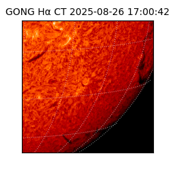 gong - 2025-08-26T17:00:42