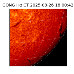 gong - 2025-08-26T18:00:42