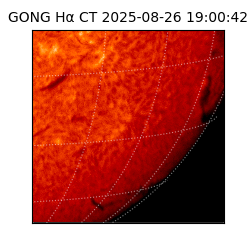 gong - 2025-08-26T19:00:42