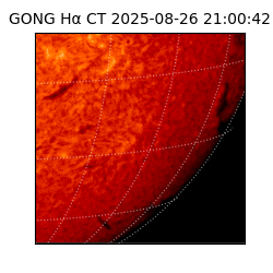 gong - 2025-08-26T21:00:42