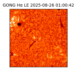 gong - 2025-08-26T01:00:42