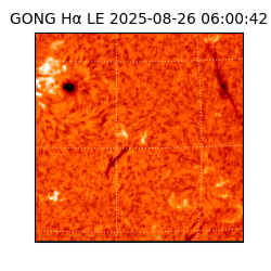 gong - 2025-08-26T06:00:42