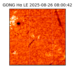 gong - 2025-08-26T08:00:42