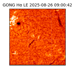 gong - 2025-08-26T09:00:42