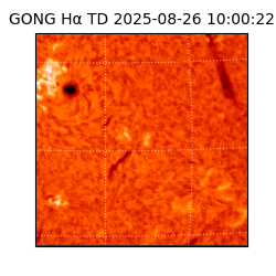 gong - 2025-08-26T10:00:22