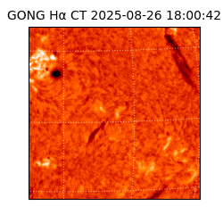 gong - 2025-08-26T18:00:42