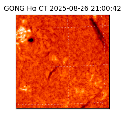 gong - 2025-08-26T21:00:42