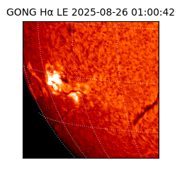 gong - 2025-08-26T01:00:42