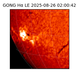 gong - 2025-08-26T02:00:42