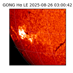 gong - 2025-08-26T03:00:42