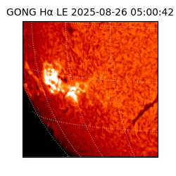 gong - 2025-08-26T05:00:42