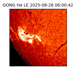 gong - 2025-08-26T06:00:42