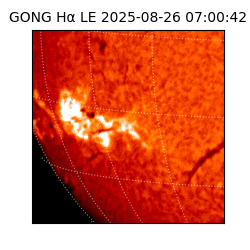 gong - 2025-08-26T07:00:42