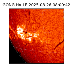 gong - 2025-08-26T08:00:42