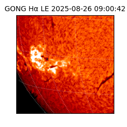 gong - 2025-08-26T09:00:42