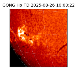 gong - 2025-08-26T10:00:22