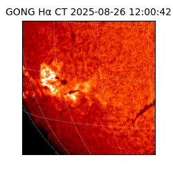 gong - 2025-08-26T12:00:42