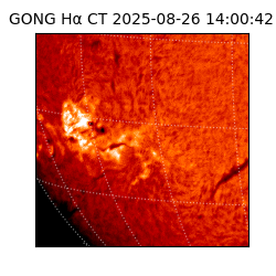 gong - 2025-08-26T14:00:42