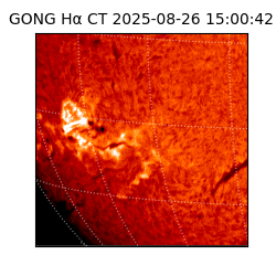 gong - 2025-08-26T15:00:42