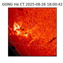 gong - 2025-08-26T18:00:42