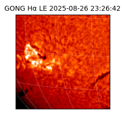 gong - 2025-08-26T23:26:42