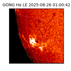 gong - 2025-08-26T01:00:42